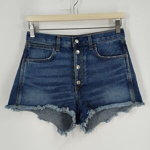Rag & Bone Lou Denim Shorts